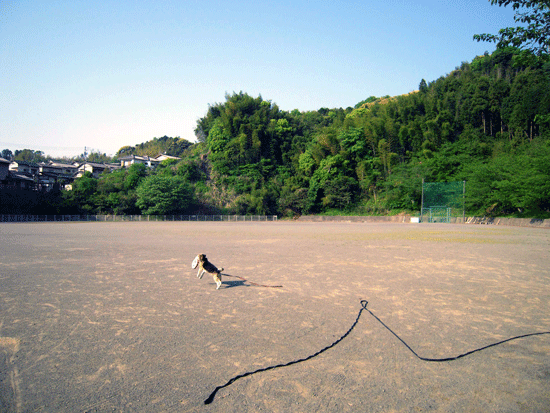 b0005652_19575050.gif