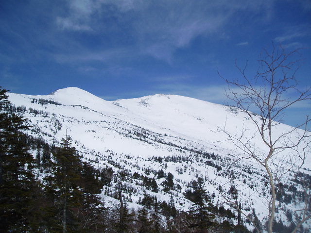 f0145963_94939.jpg