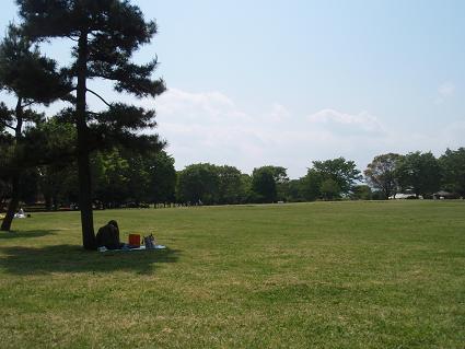 公園へ_c0151866_18473513.jpg