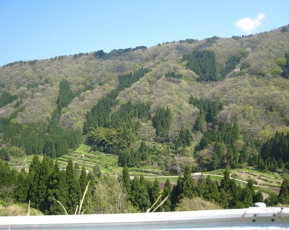 a0120468_6321890.jpg