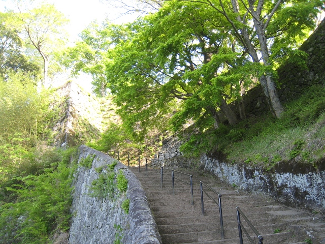 歌の流れる道路（５　岡城址）_f0088569_9421781.jpg