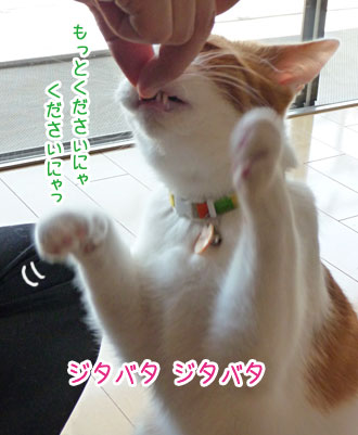 a0119470_0363753.jpg
