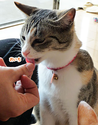a0119470_0374866.jpg