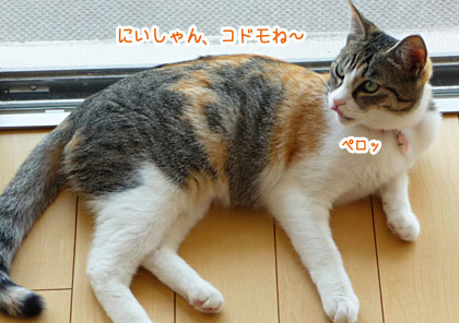 a0119470_0382462.jpg