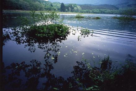 e0152770_054232.jpg