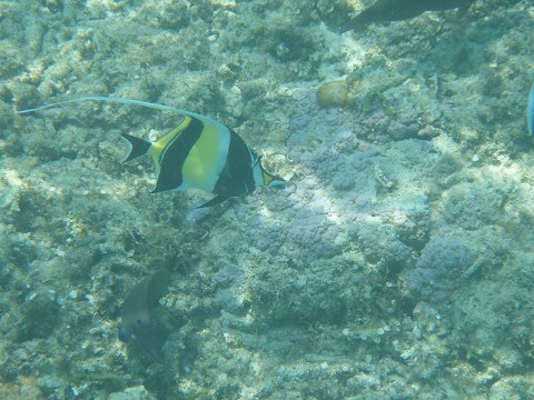 b0004675_81350.jpg