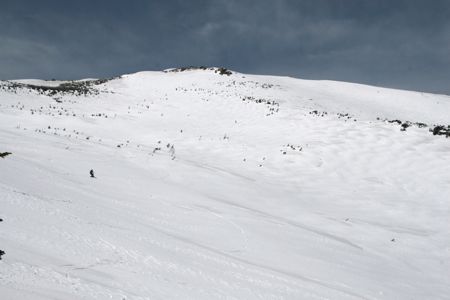 d0079579_20324189.jpg