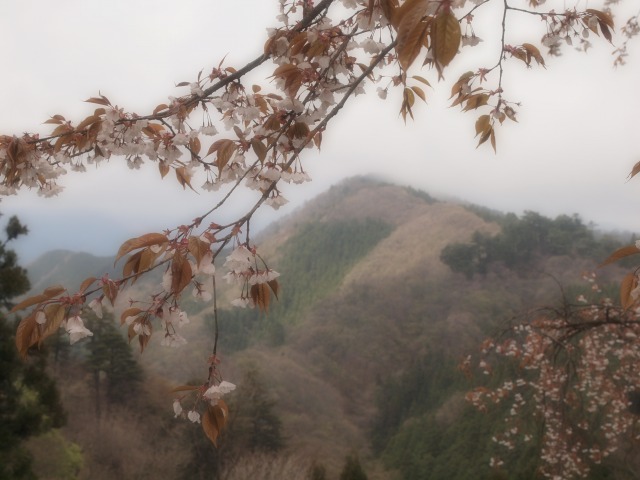 d0016584_0164416.jpg