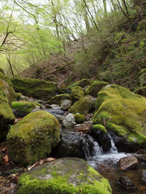 d0016584_0253649.jpg