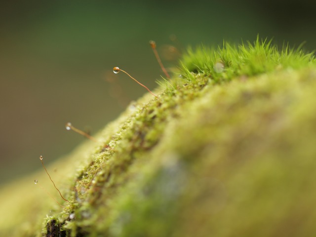 d0016584_0264146.jpg