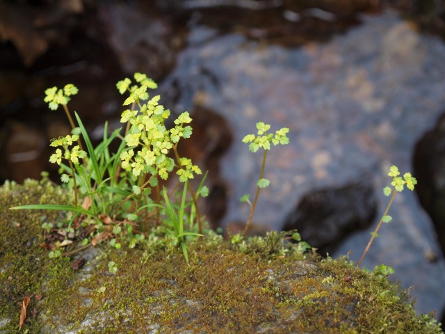 d0016584_027394.jpg