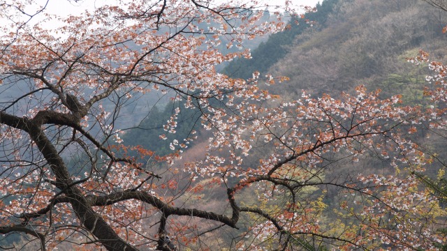 d0016584_0305141.jpg
