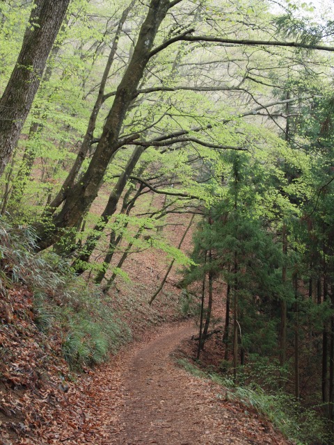d0016584_032298.jpg