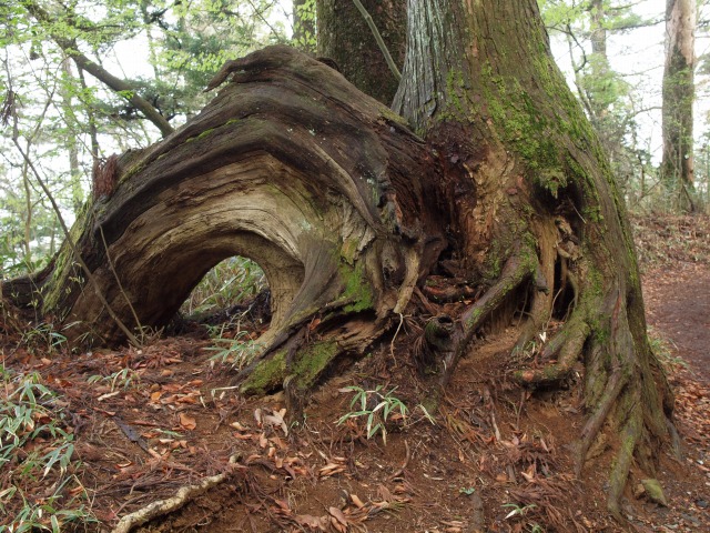 d0016584_032747.jpg