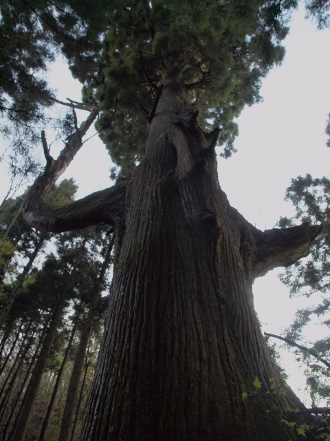 d0016584_0363625.jpg