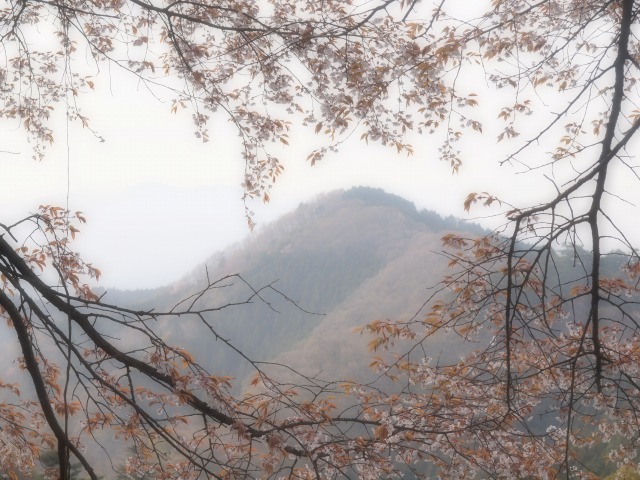 d0016584_0394256.jpg