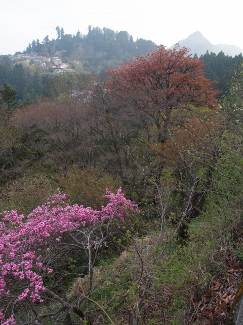 d0016584_0401039.jpg