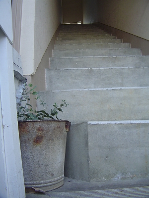 f0198684_20355951.jpg