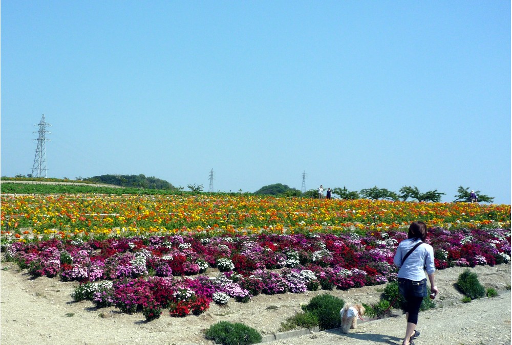 続きだよ～～♪_a0107198_023726.jpg