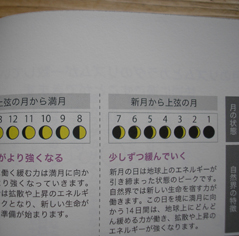 アレルギー体質_e0055098_1492912.jpg
