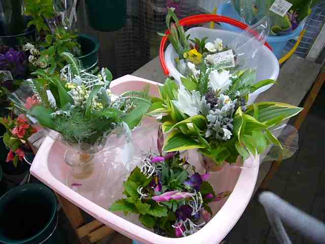 談合坂SAのお花_a0116902_18254228.jpg