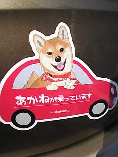 犬バカ日記_d0052904_0444642.jpg