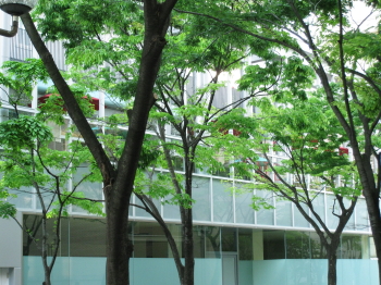 d0101704_043368.jpg