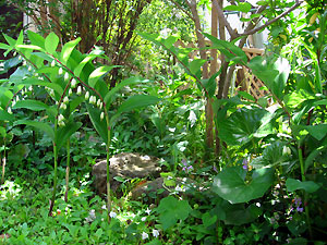 e0118904_19103834.jpg