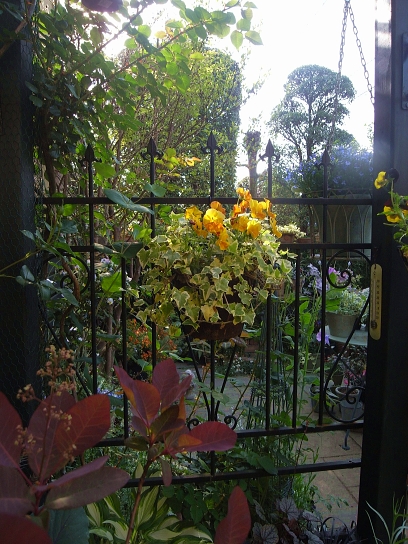 f0065604_21543843.jpg