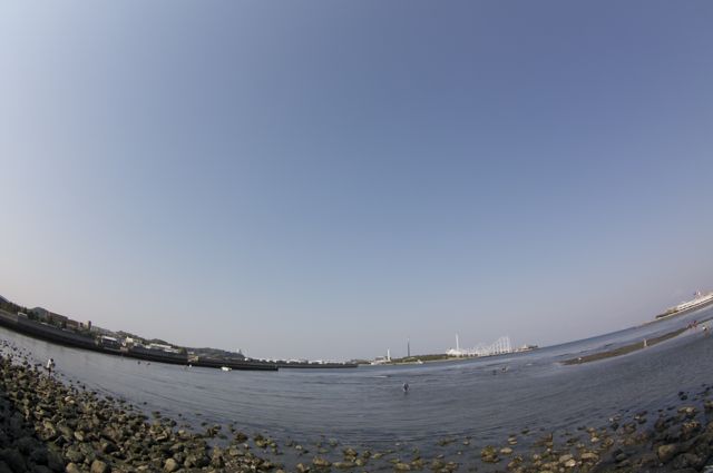 海の公園と野島で潮干狩りっ_a0002707_1273830.jpg