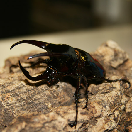 c0165807_23521715.jpg