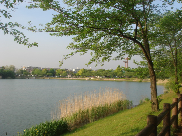 b0168309_201233.jpg
