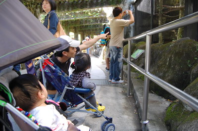 アジア最大の動物園へ行く！！Part 1_a0105010_13561848.jpg