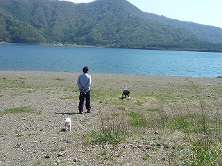 d0063615_0442443.jpg