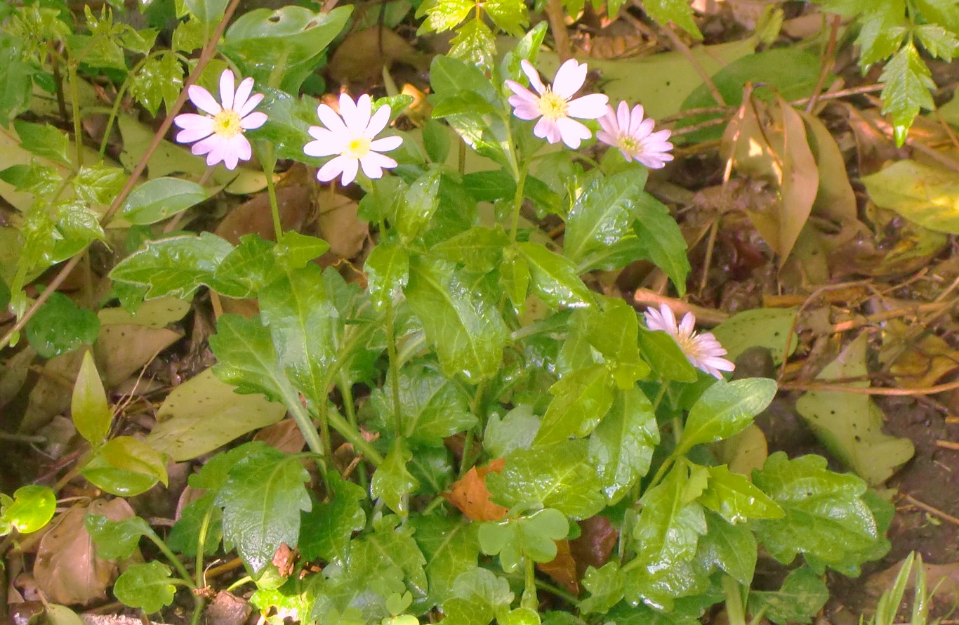 a0054924_1191584.jpg