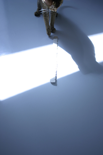 e0090124_8122054.jpg