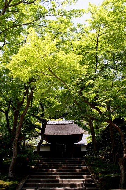 d0085025_2344452.jpg
