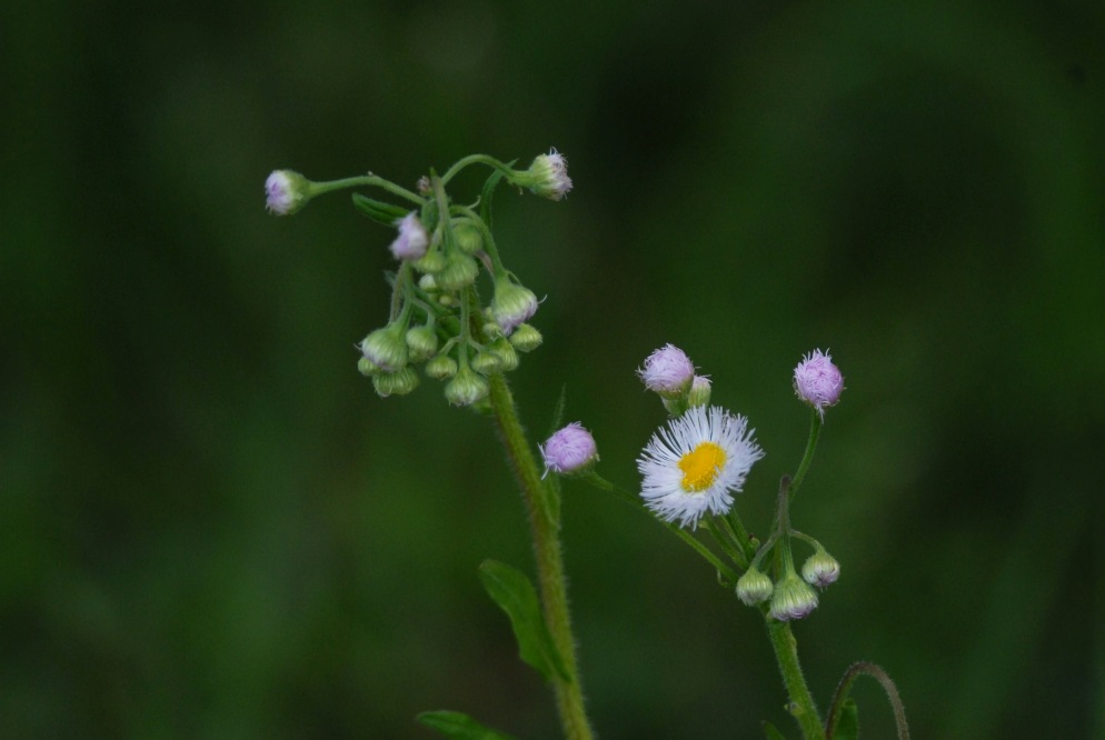 c0172139_18171438.jpg