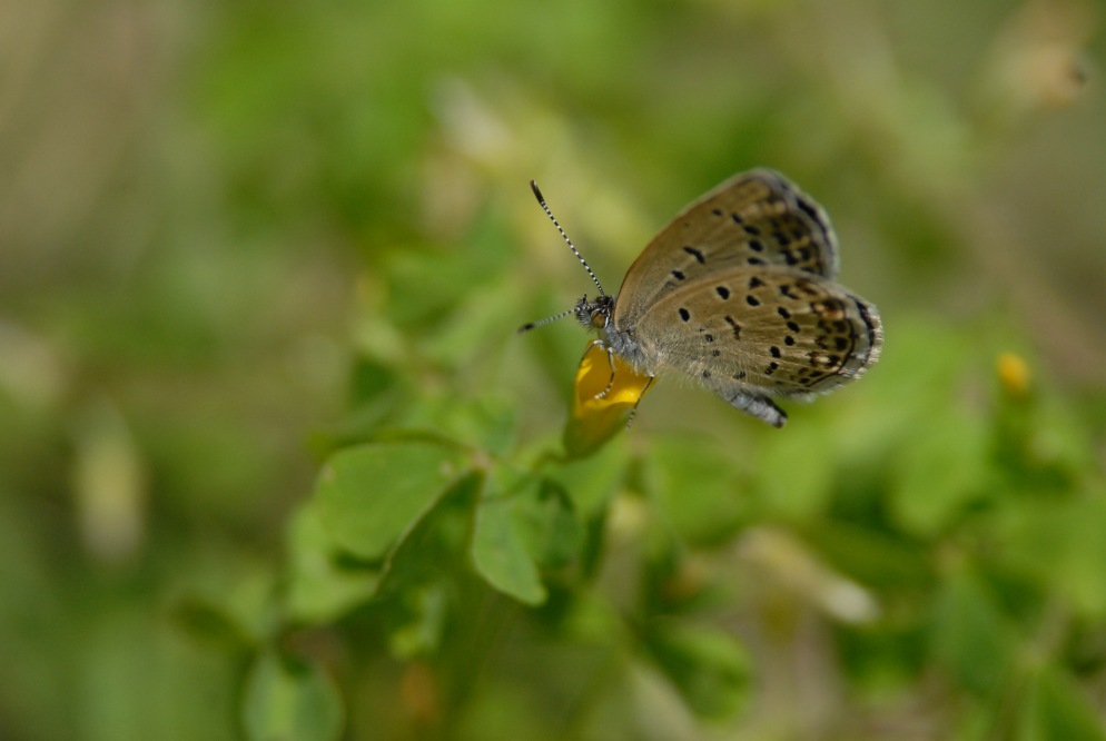 c0172139_1823479.jpg