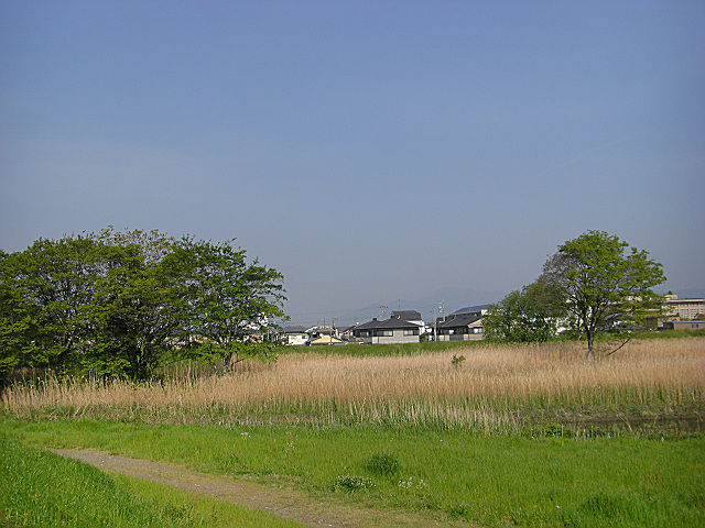 b0088444_2214780.jpg