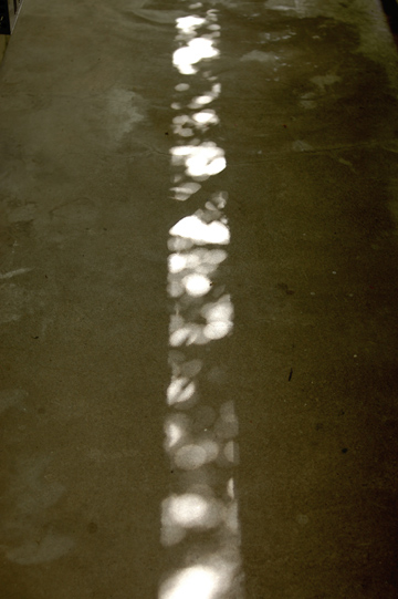 d0008146_0323836.jpg