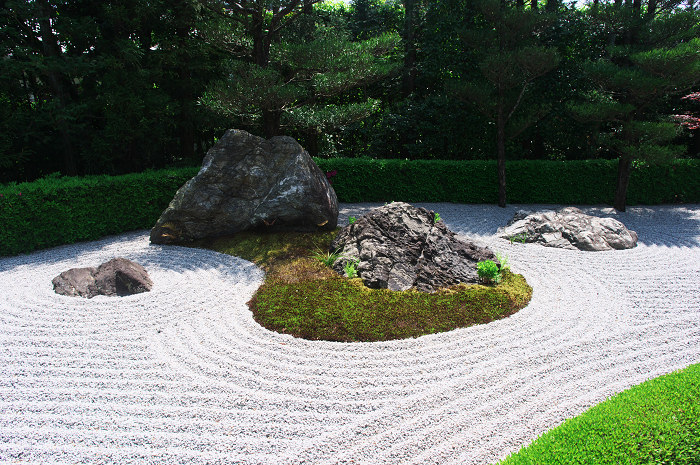 花の退蔵院(妙心寺・退蔵院)_f0155048_2154349.jpg