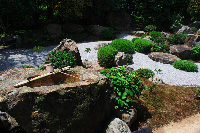 花の退蔵院(妙心寺・退蔵院)_f0155048_21545782.jpg