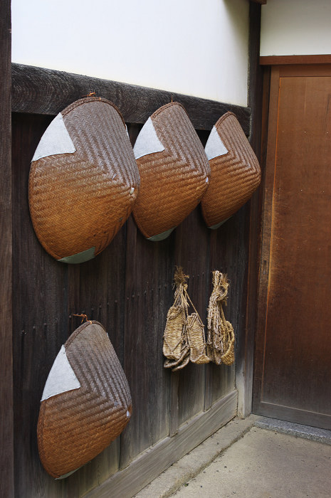 花の退蔵院(妙心寺・退蔵院)_f0155048_21581932.jpg