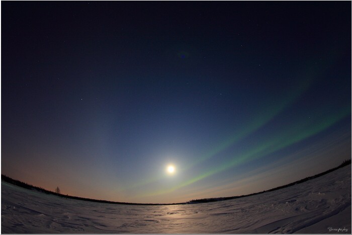 moonlight aurora_c0112158_11454494.jpg