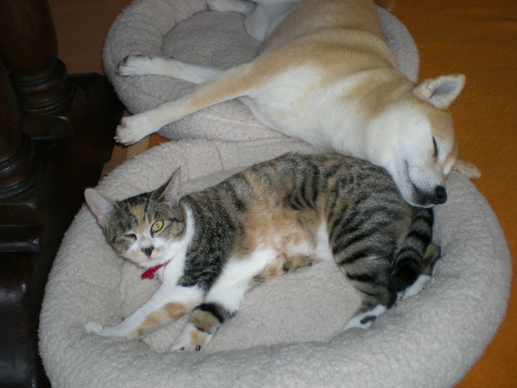 2009年5月1日(金)久しぶりのバトルだけど・・・_f0060461_22322157.jpg