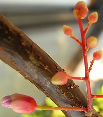 b0169765_10405860.jpg