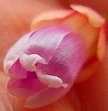 b0169765_10421449.jpg