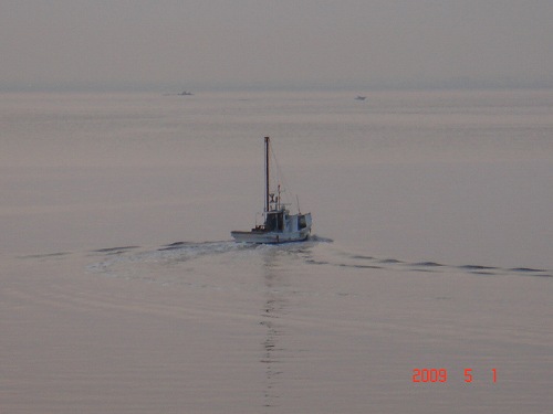 d0007071_17473223.jpg