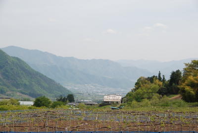 山梨の_b0016474_18361227.jpg